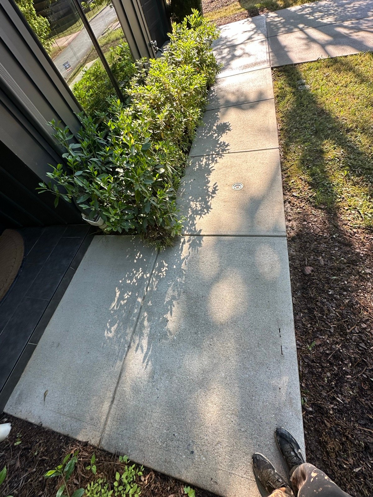 Concrete walkway after cleaning, clean and even toned